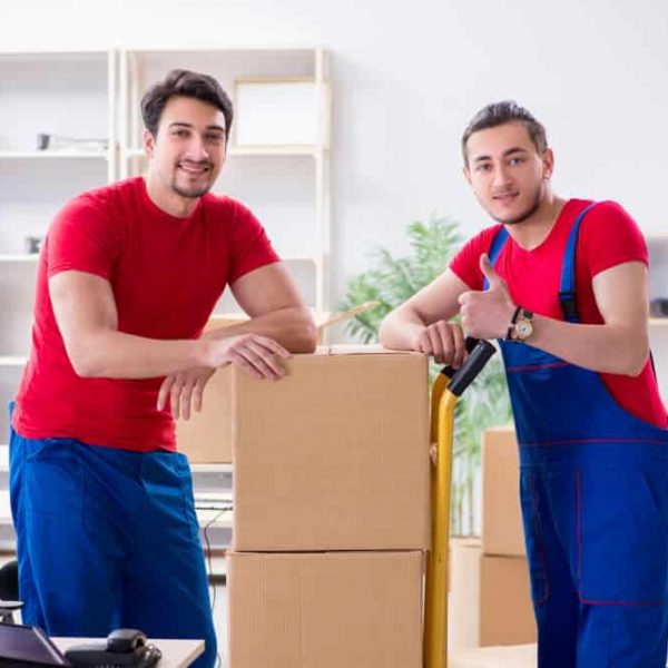 Two Removalist Employees Moving Office Boxes — Removals & General Freight in Port Macquarie, NSW