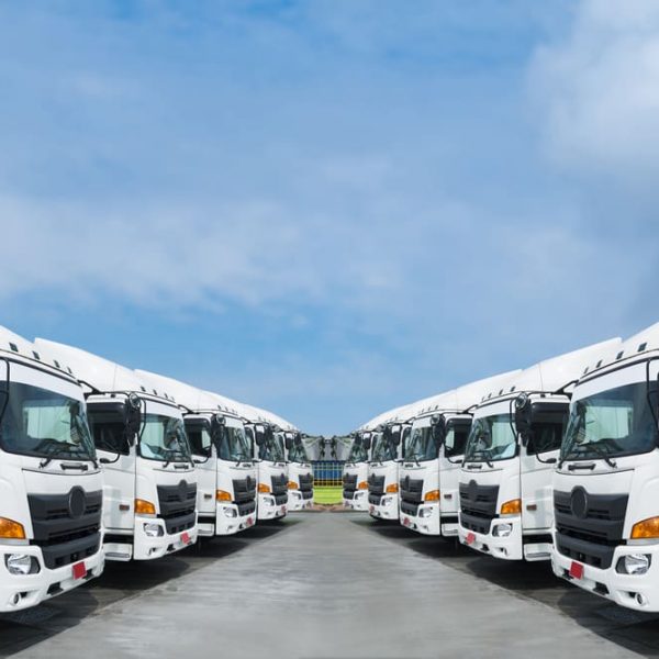 Parked New Truck Fleet — Removals & General Freight in Port Macquarie, NSW